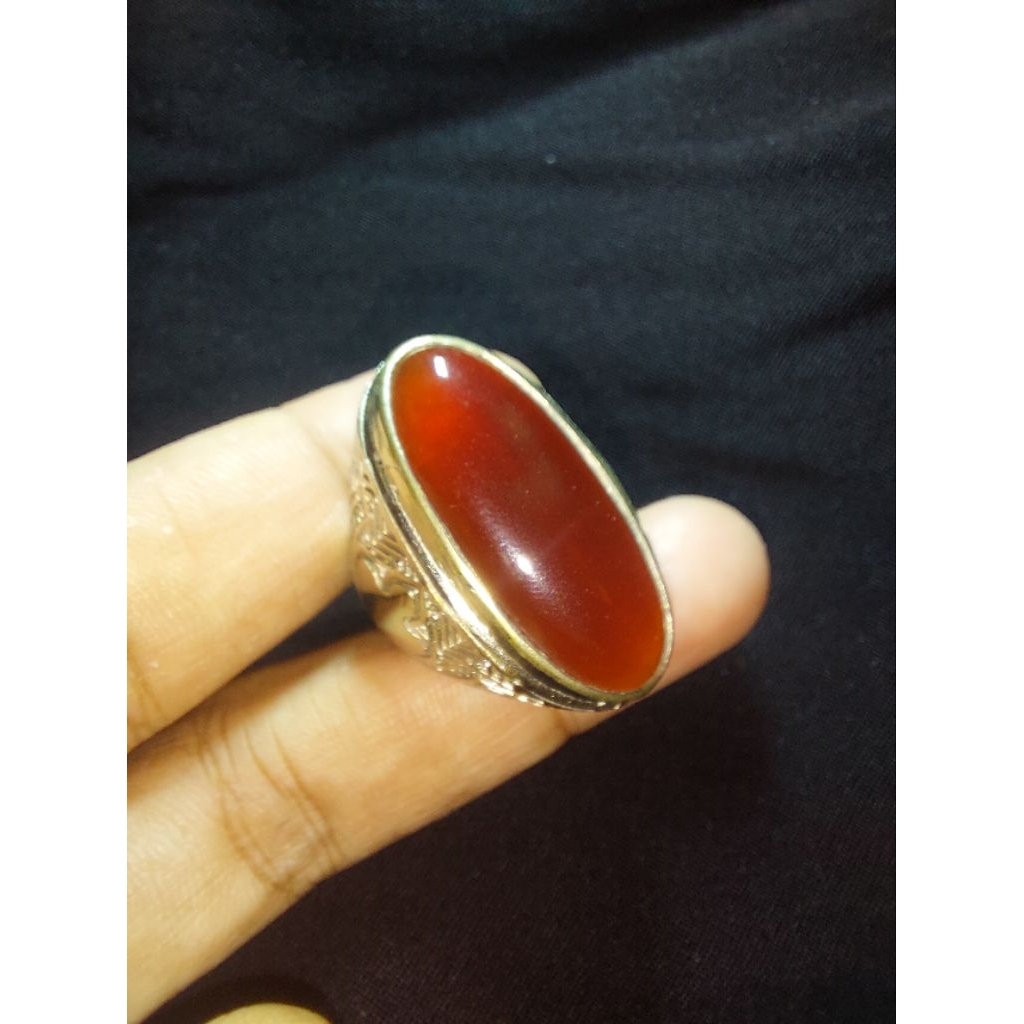 BATU RED RAFLESIA bengkulu asli dimensi jumbo