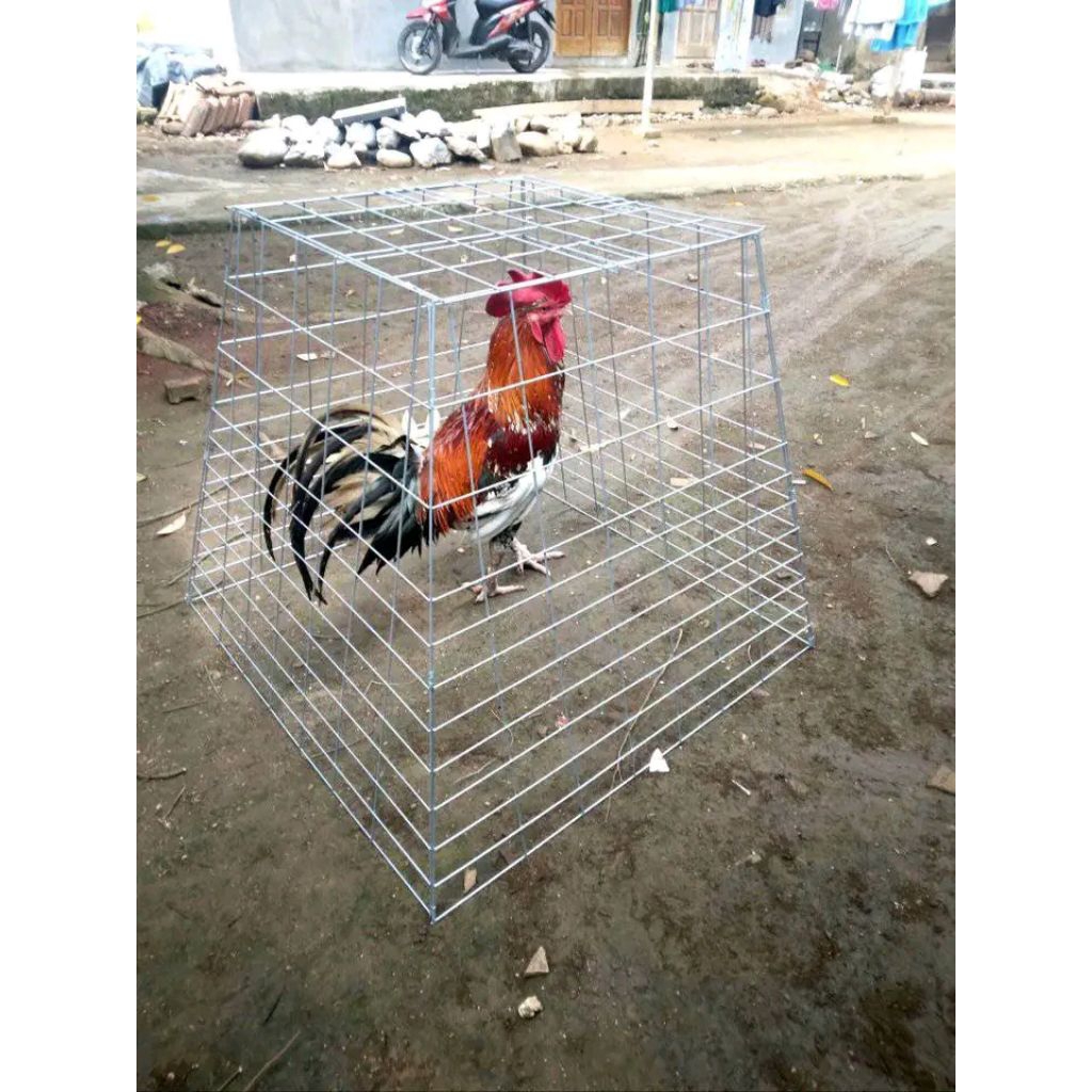 kandang umbaran/kurung jemur ayam lipat galvanis piramid anti karat