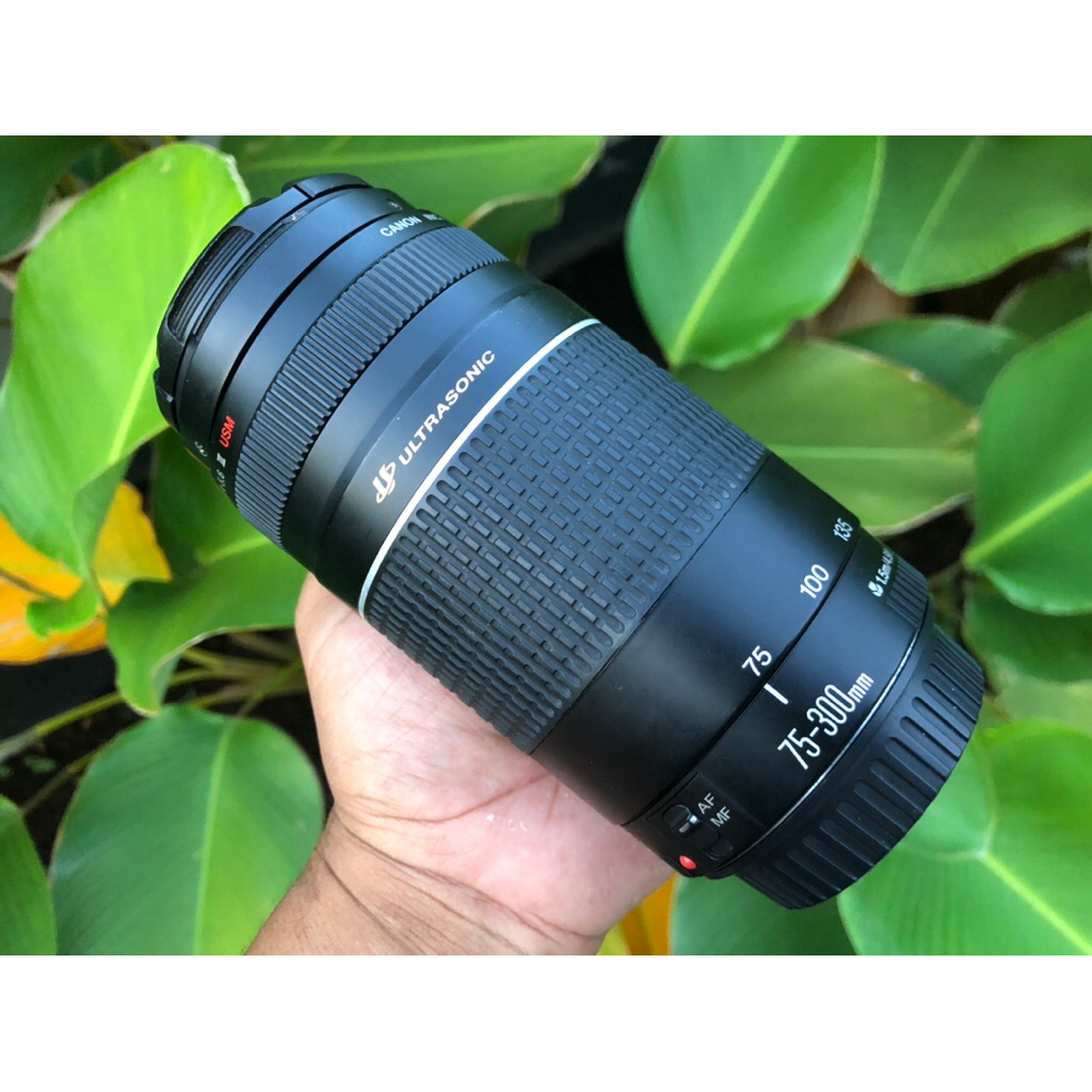 Lensa Canon 75-300mm Is USM Murah