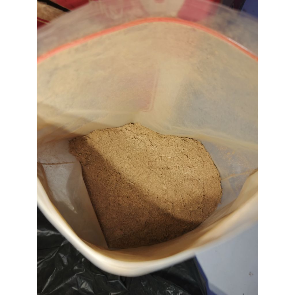 bubuk gaharu merauke (filaria)