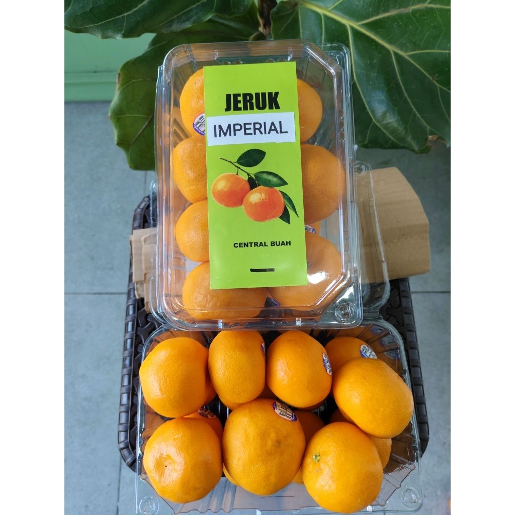 

Jeruk Imperial Australia