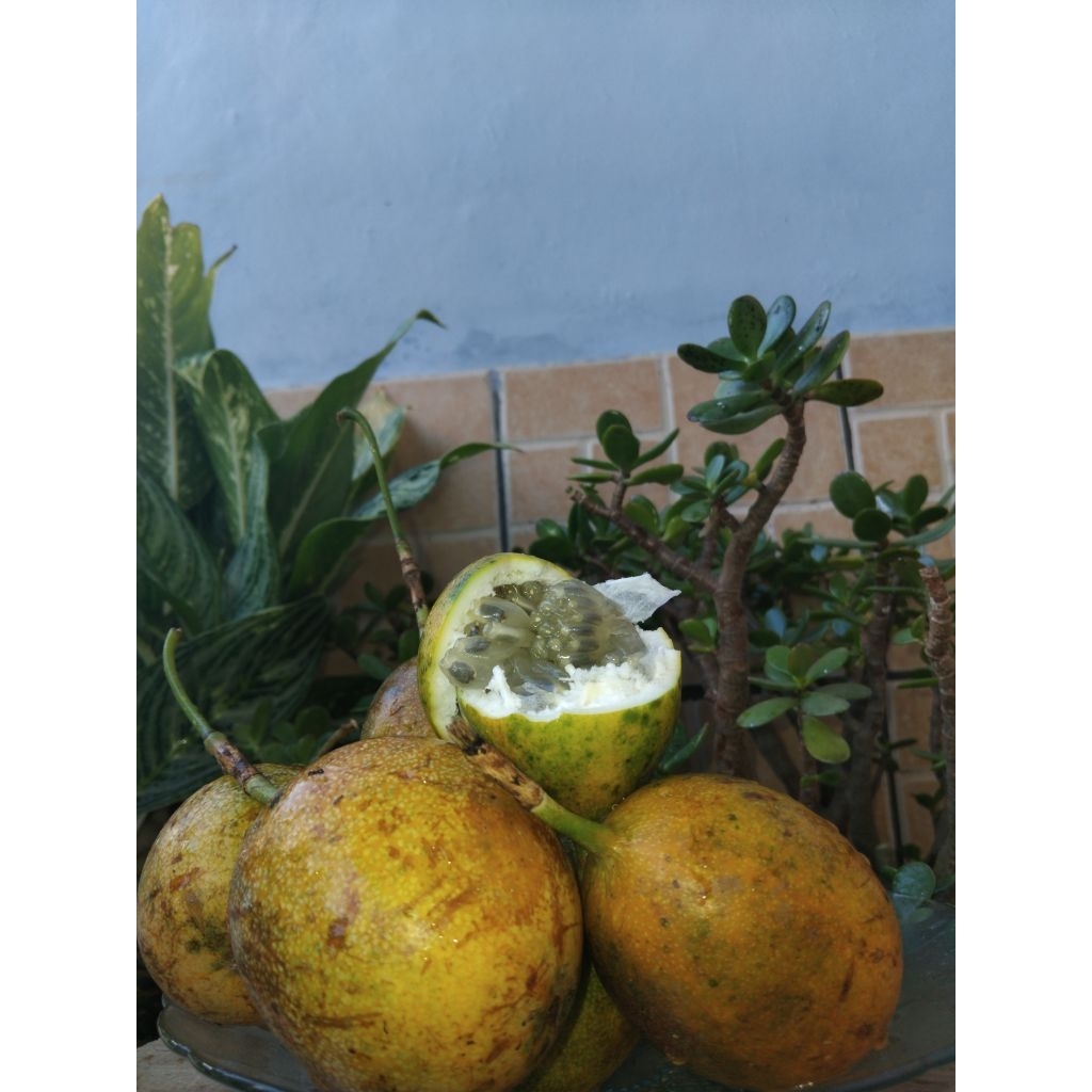 

JUAL MARKISA MADU / KONYAL 1KG