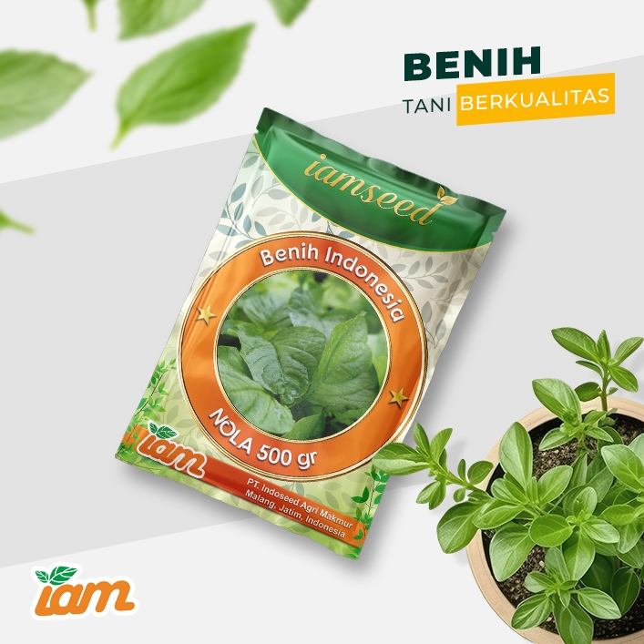 

Nola 500gr | Bayam Hijau