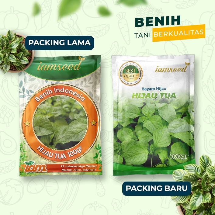 

Hijau tua 100gr | Bayam hijau tua
