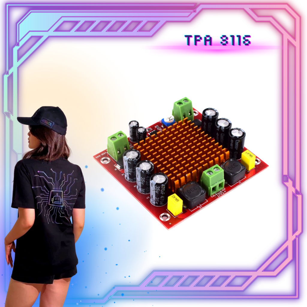 TPA3116 150W Mono Amplifier - Digibot Official