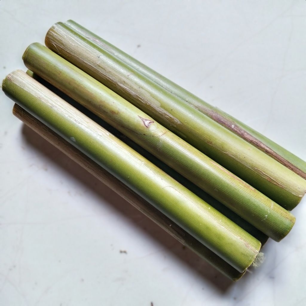 

Batang Honje/Kecombrang Segar 1 Kg