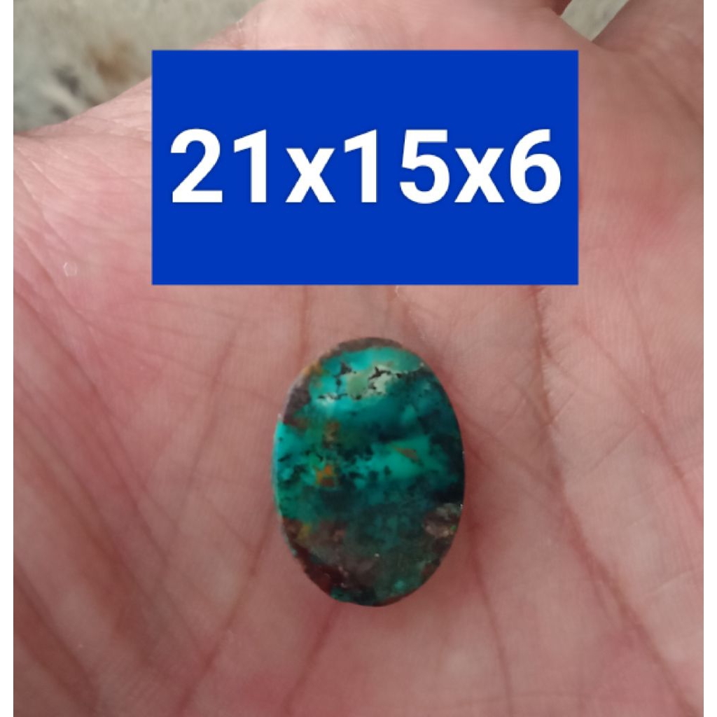 Pirus Persia urat hitam