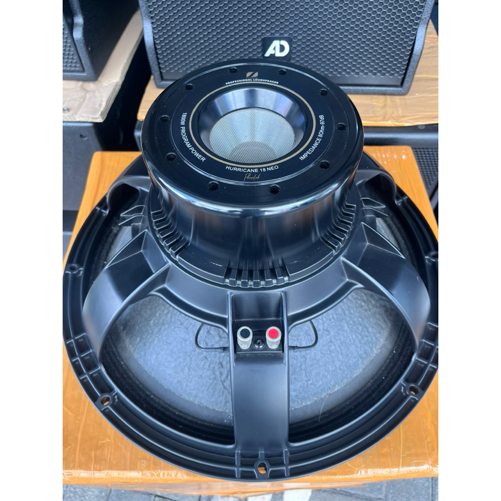speaker 18” Phaselab Huricane 18 neo