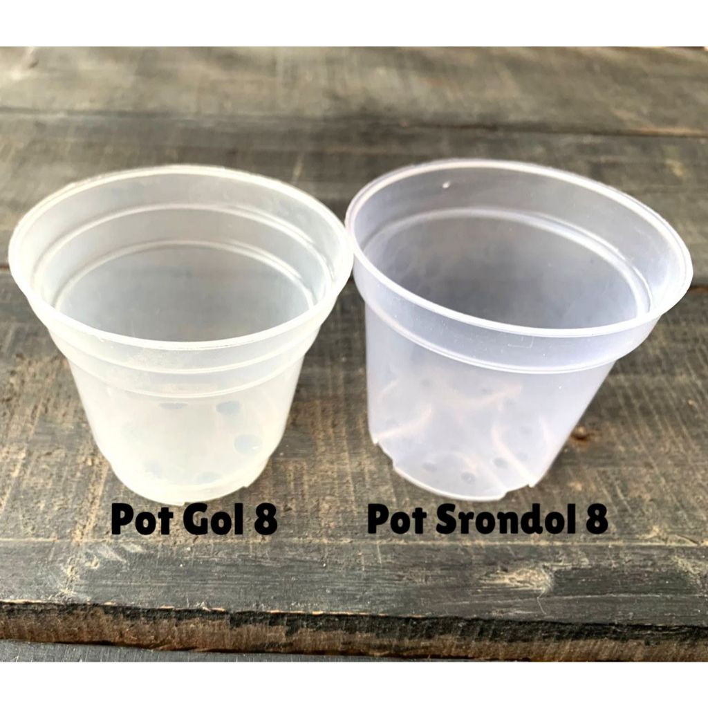 Pot bening transparan ukuran 8 pot mini lusinan