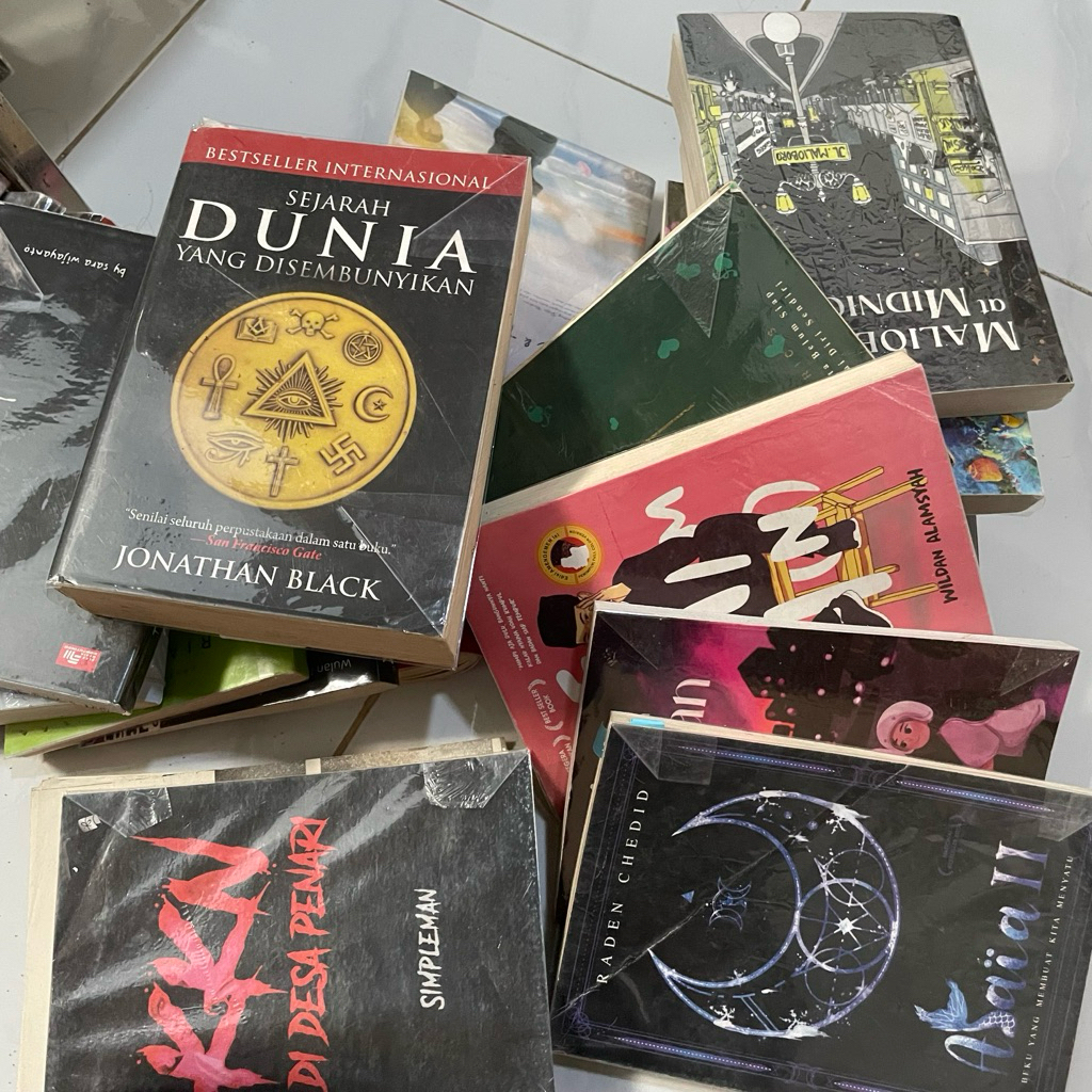 preloved buku novel ria ricis, dikta hukum teluk alska alaia