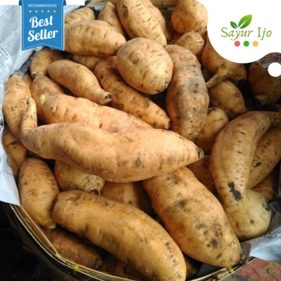 Ubi Madu Cilembu Organic Manis Pulen -/+ 0.95 - 1 KG / Pack Fresh Umbi Jalar Ketela Rambat Organik S