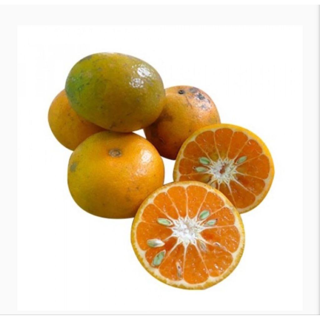 

buah jeruk segar 1kg