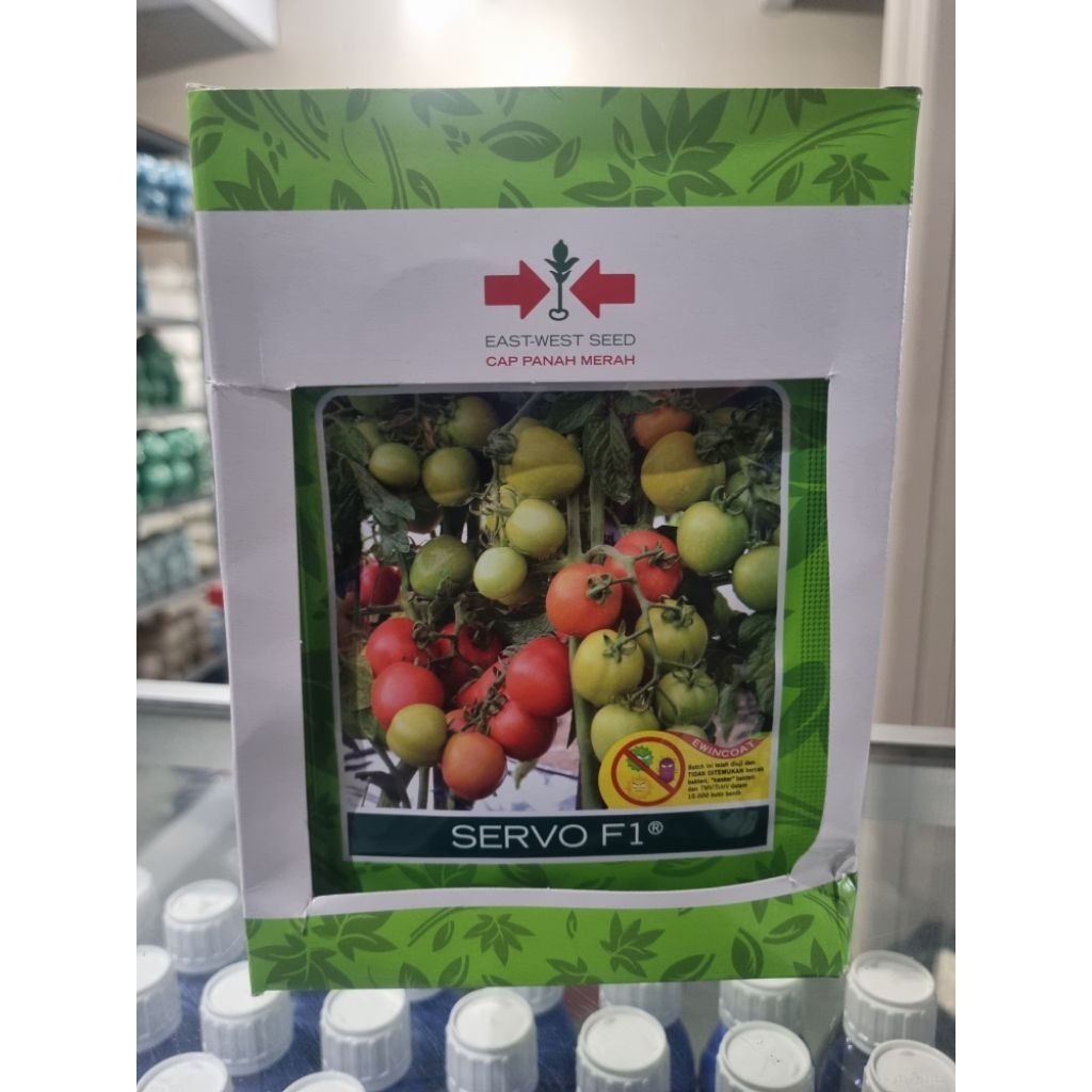 Benih tomat F1 SERVO