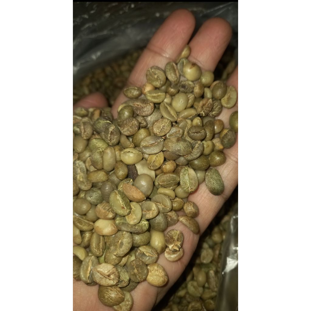 

BIJI KOPI ROBUSTA ASALAN KEMASAN 1KG