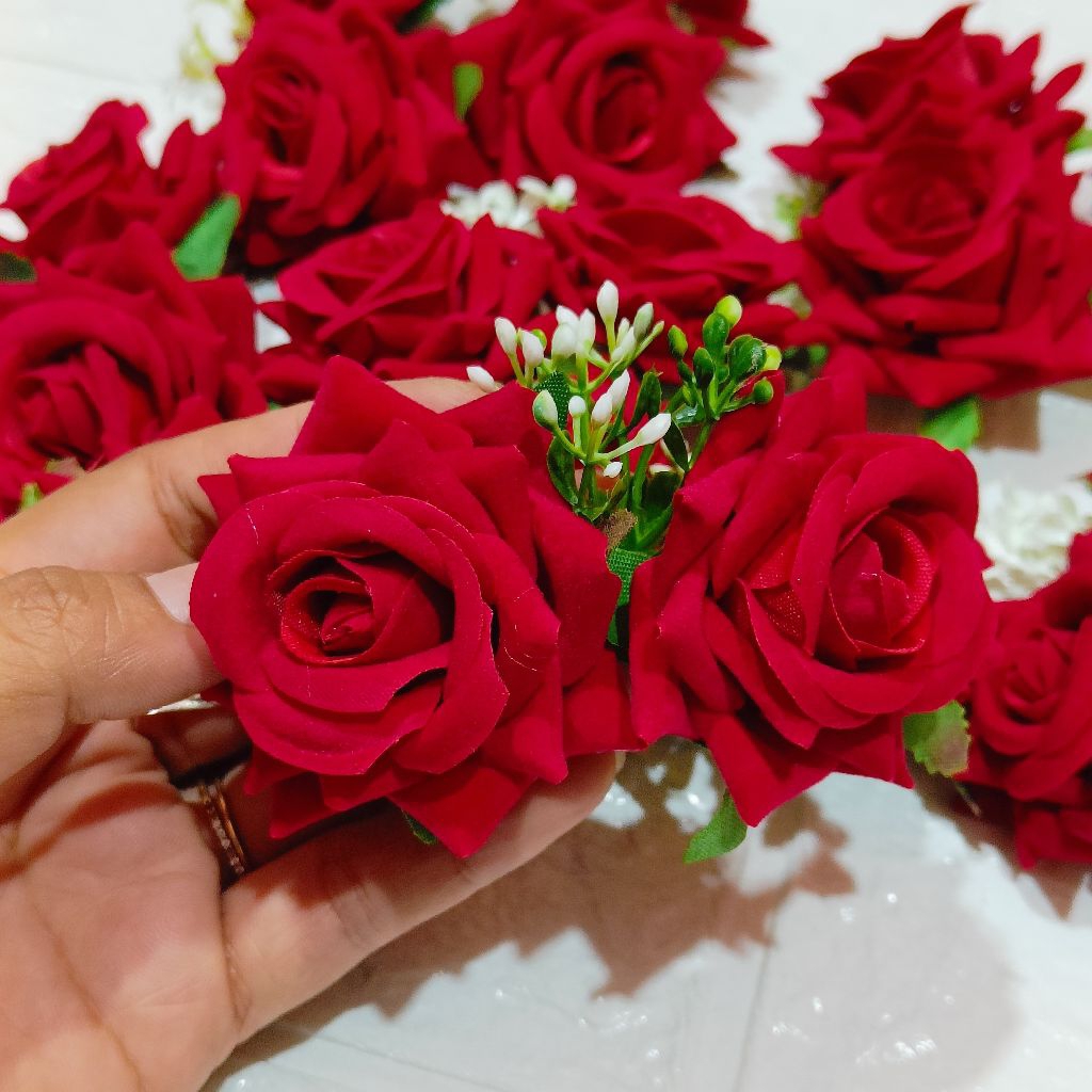 cucuk semanggi mawar merah / semanggi mawar / cucuk semanggi mawar bludru merah / semanggi bali untu