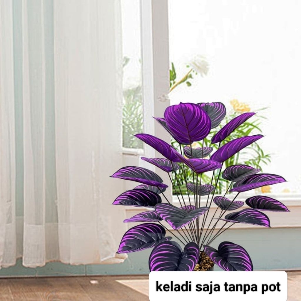 tanaman hias plastik keladi ubi ungu