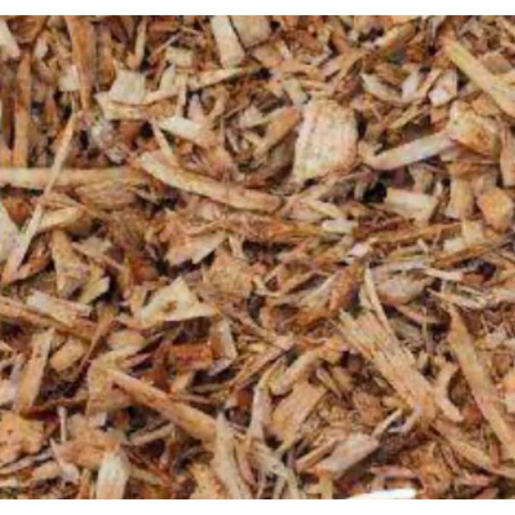 

IKAN TONGKOL ASAP CAKALANG SUIR 100 gr Tanpa Duri Praktis Tinggal Masak Tidak Perlu Dibersihkan Lagi