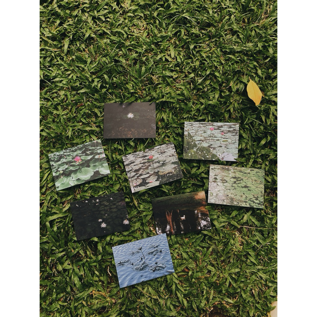 

Postcard/Kartu Ucapan - Seroja