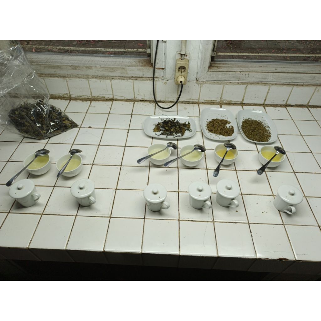 

Sinensis Green Tea Clone Taiwan Airflow