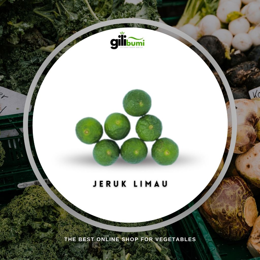 

Jeruk Limau Segar 100gr