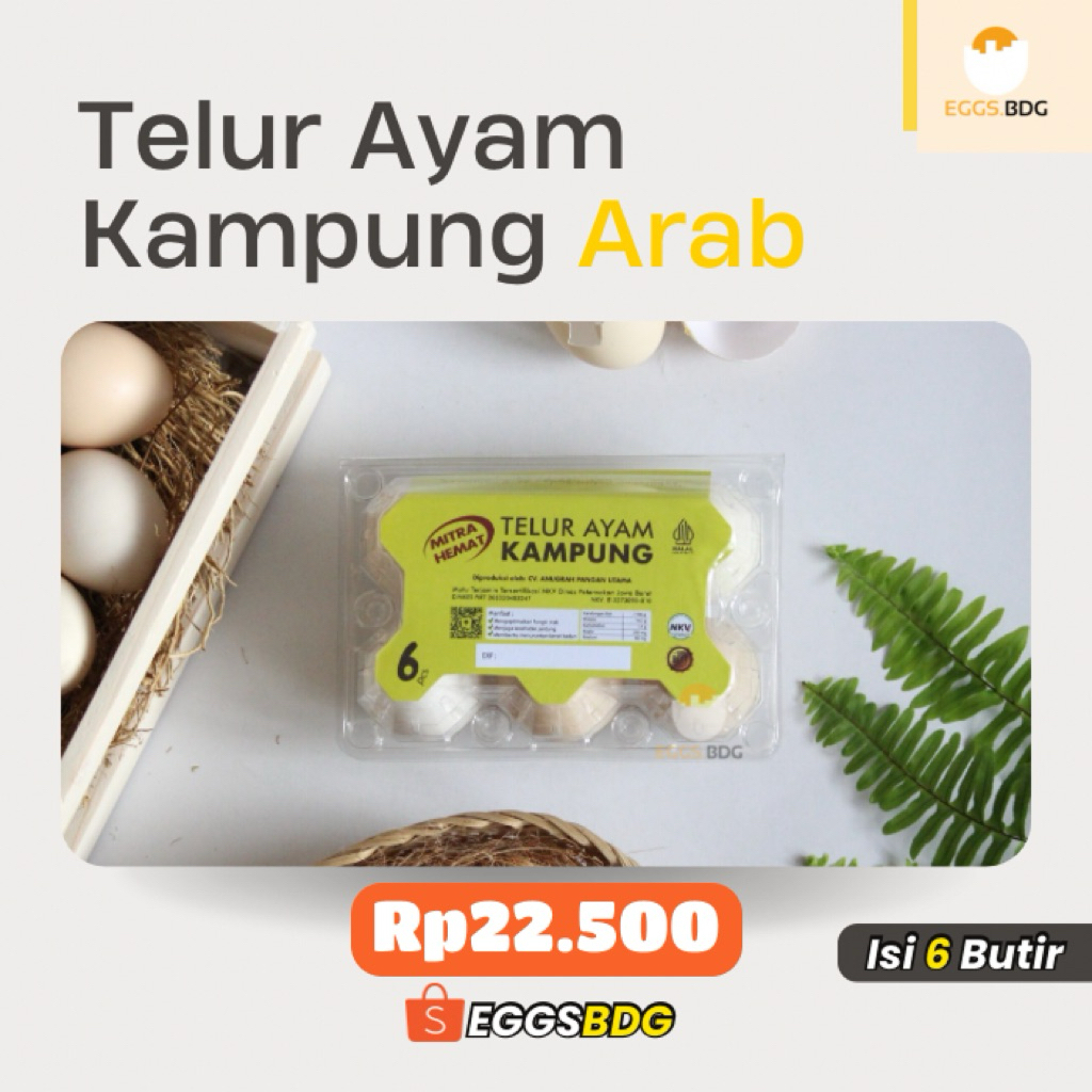 

Telur Ayam Kampung Arab Isi 6 Pcs