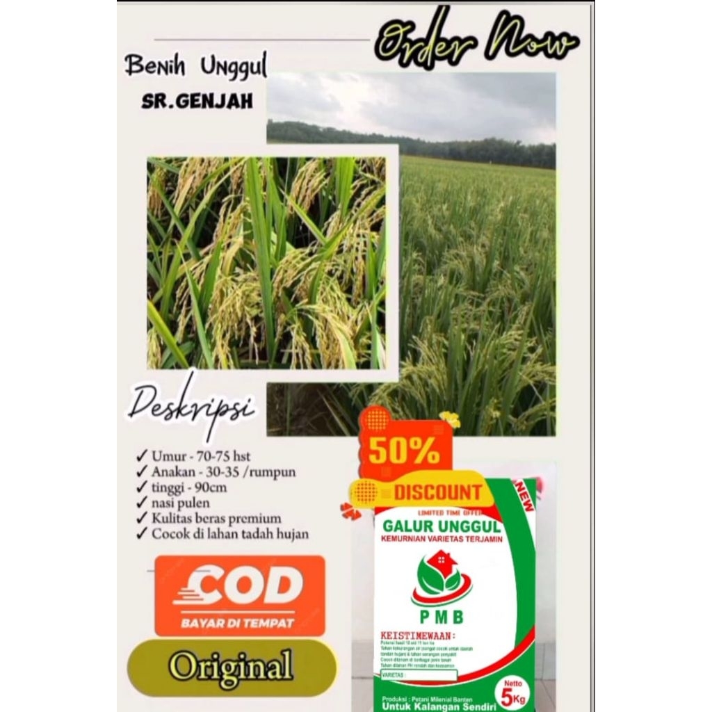 Benih padi Sr p08 benih padi unggul original