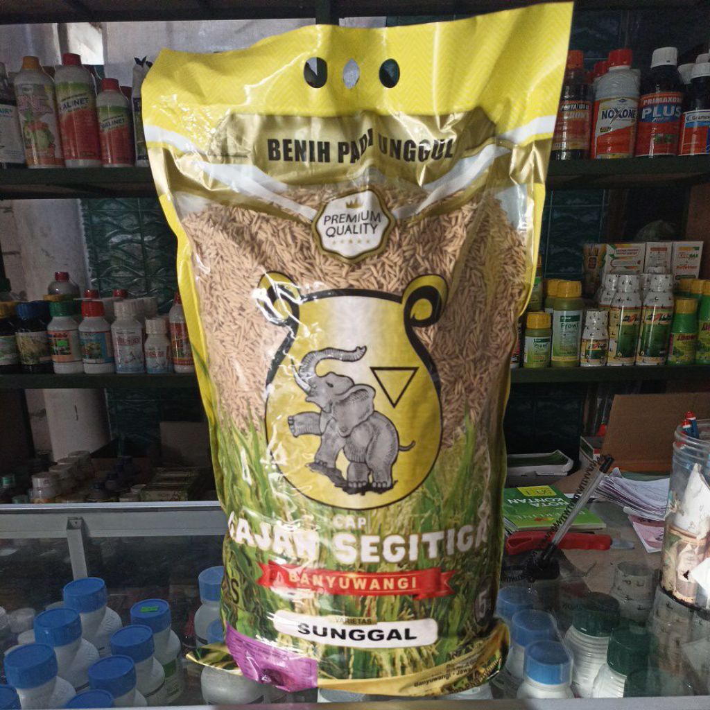 

Sunggal Gajah segitiga