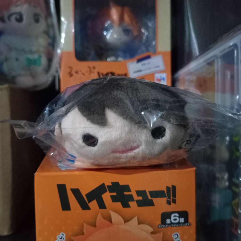 Noru Oikawa Tooru 10th anniv