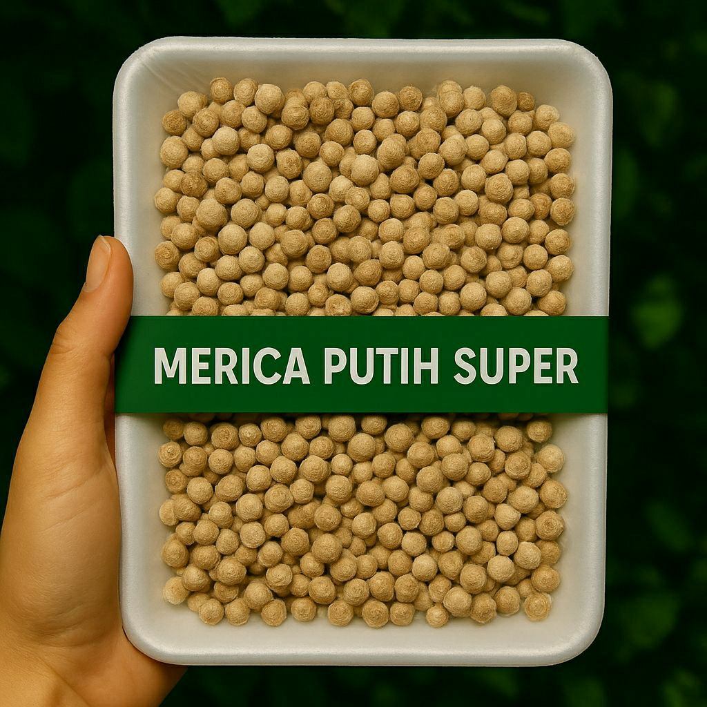 

Merica Putih Super — Kualitas Premium, Segar & Higienis | Lada Putih Super
