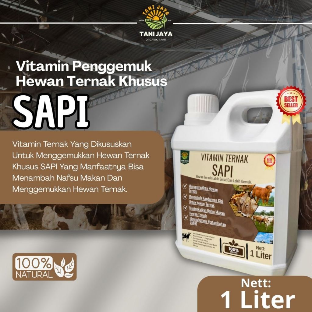 Vitamin Sapi Cepat Gemuk Vitamin Sapi  Penambah Bobot hewan Ternak Vitamin Peningkat Nafsu Makan