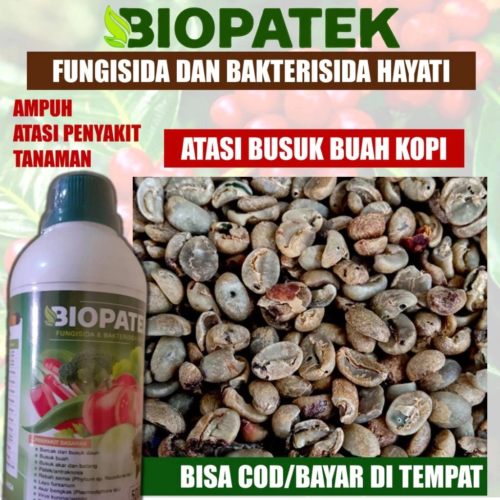 Mokilo43 Biopatek Obat Penyakit Kuning Daun Cabe / Obat Bercak Daun Dan Busuk Buah / Busuk Batang