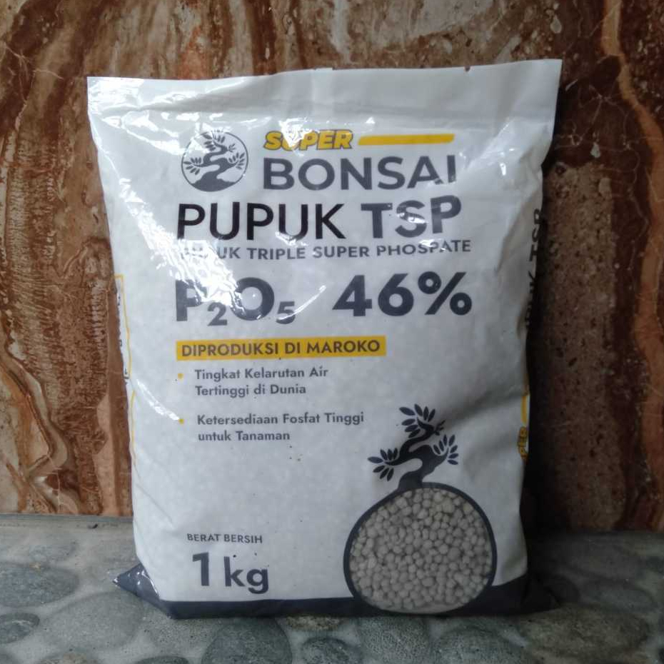 Super Bonsai Pupuk TSP 46% : Phospat Dengan Kelarutan Tertinggi Mempercepat Akar, Bunga dan Buah - 1