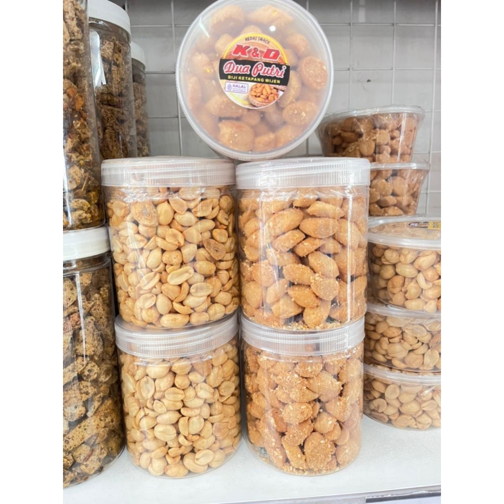 

BIJI KETAPANG DAN KACANG BAWANG DUA PUTRI