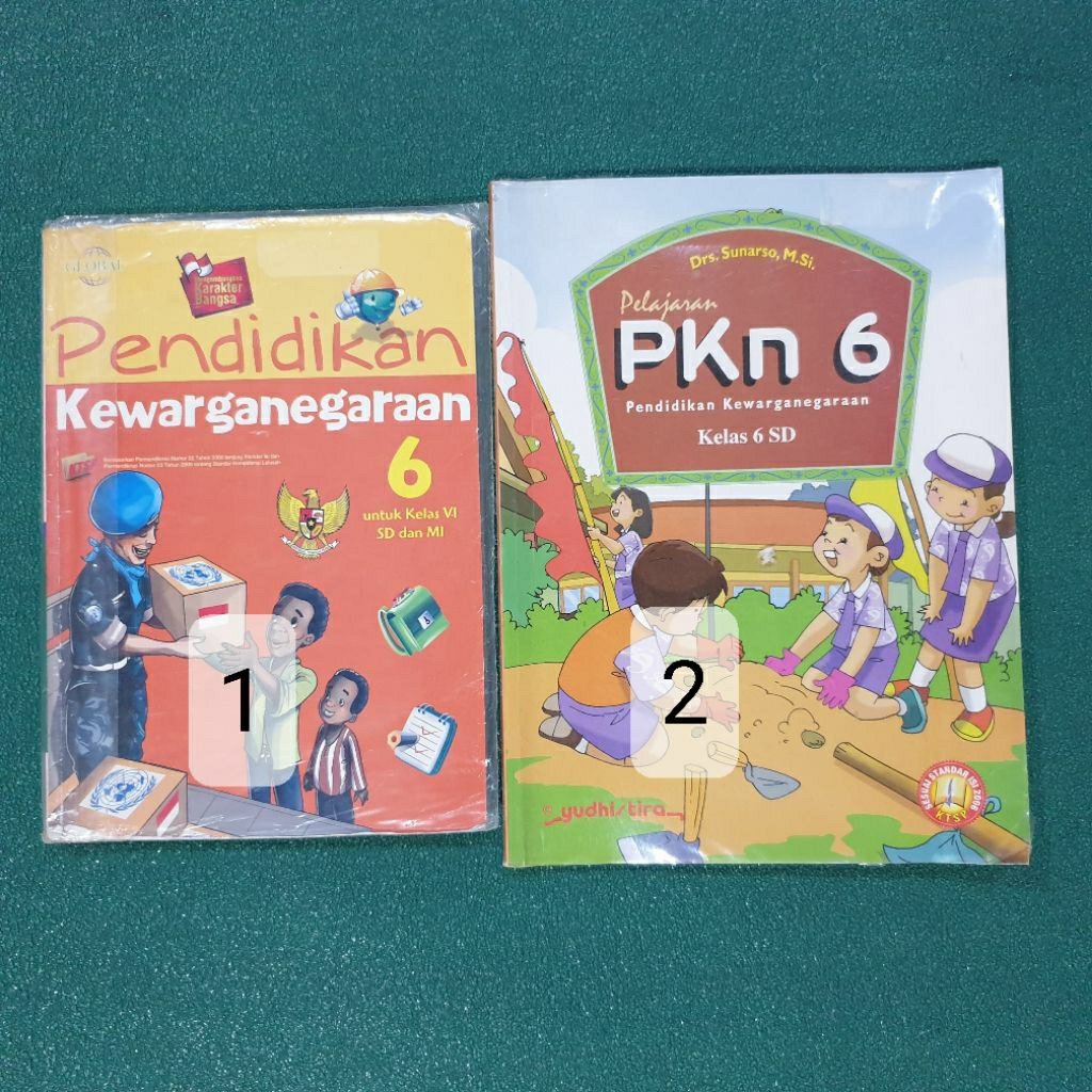 BUKU PKN kelas 6