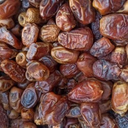 

Kurma Mdu Mesir Jumbo Golden Jumbo Murah Kemasan 10kg