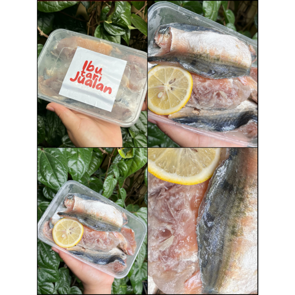

Ikan Kembung Fillet Fresh isian 7-9 Slice 800gr