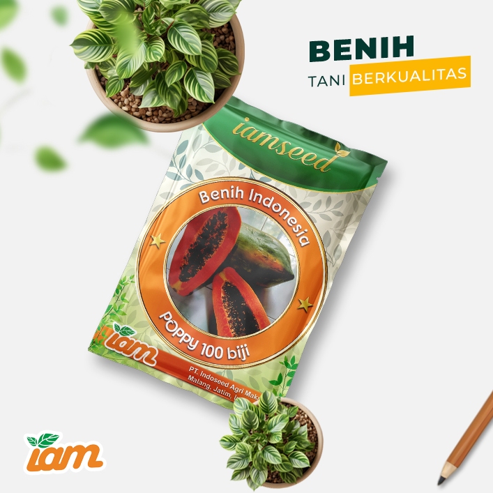 

Poppy 100biji | Pepaya thailand
