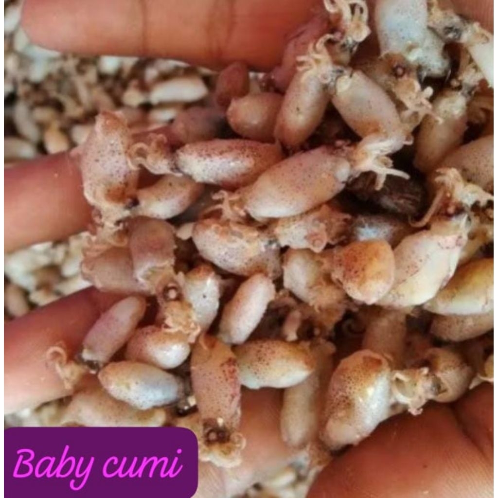 

BABY CUMI FRESH