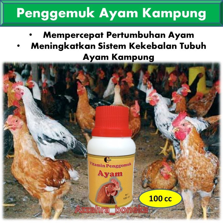 Vitamin Ayam Kampung Cepat Besar /Vitamin Ayam Kampung Agar Cepat Gemuk / Vitamin Penggemuk Ayam Kam