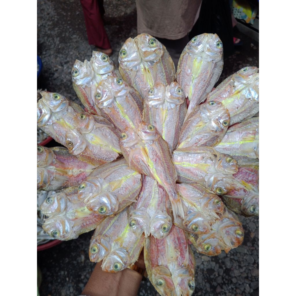 

ikan asin pinang pinang belah untuk dipanggang dan digoreng