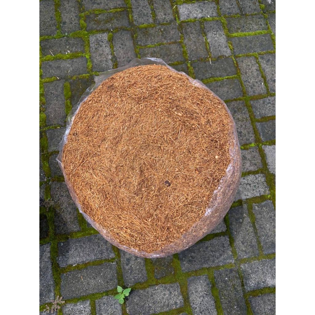 

paksi sindoro original temanggung