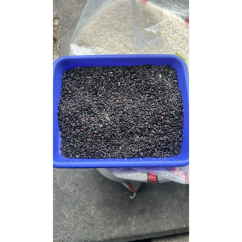 

padi hitam/ketan hitam kemasan perkilo