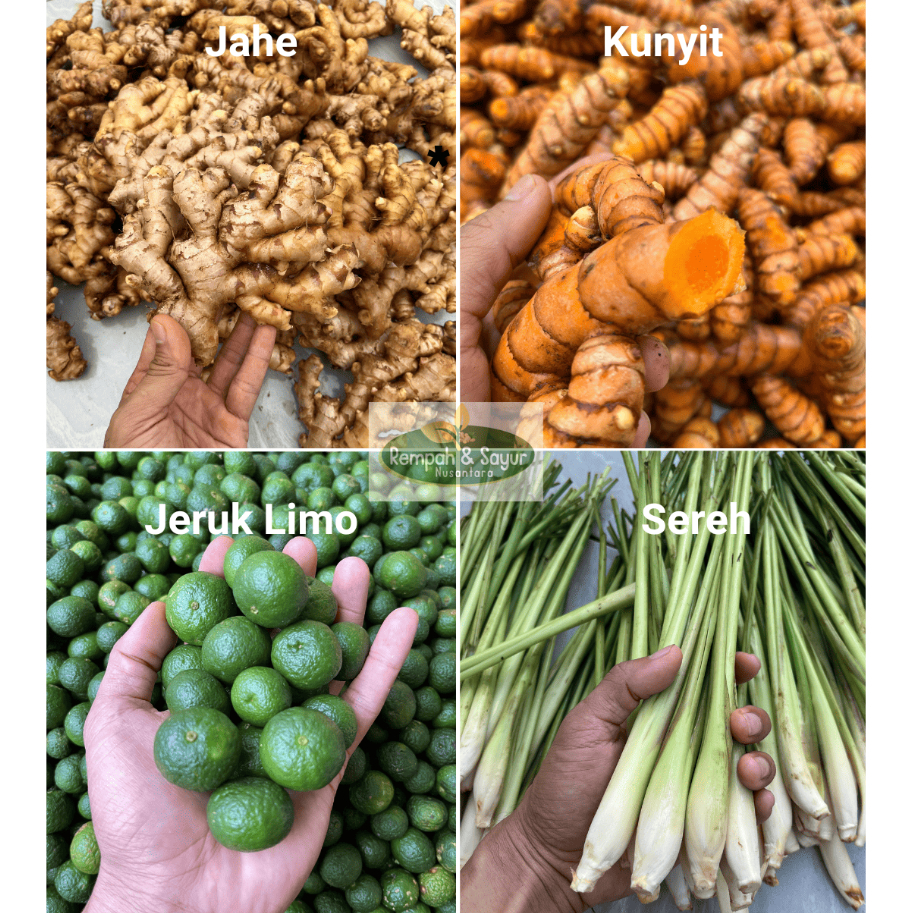 

Jahe - Kunyit - Sereh - Jeruk Limo Segar Pilihan Langsung Dari Kebun - Bumbu Masak