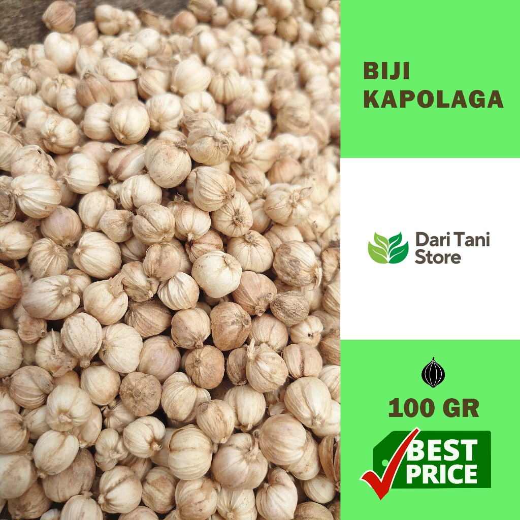 

Kapulaga/Kapol Kualitas Premium 100 gram tanpa kimia