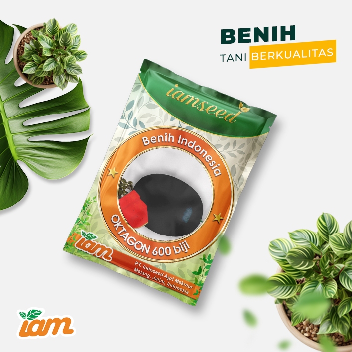 

Oktagon 600 biji | Semangka oblong kulit hitam berbiji