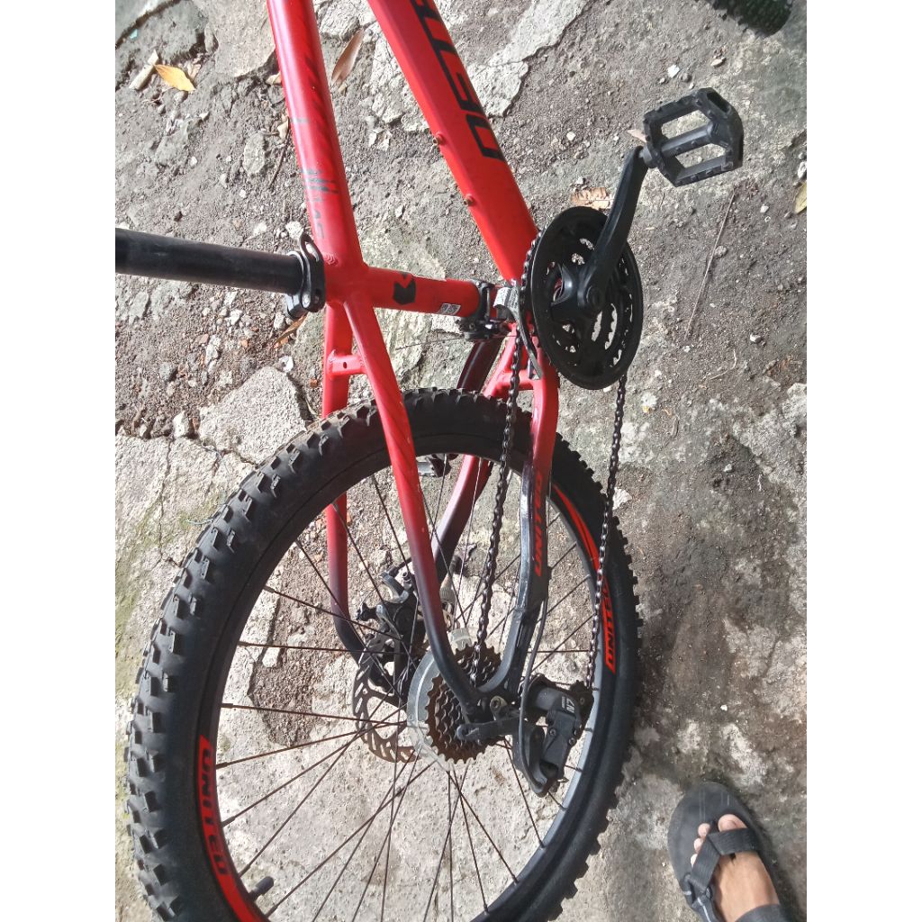 MTB united Detroit SV 24in