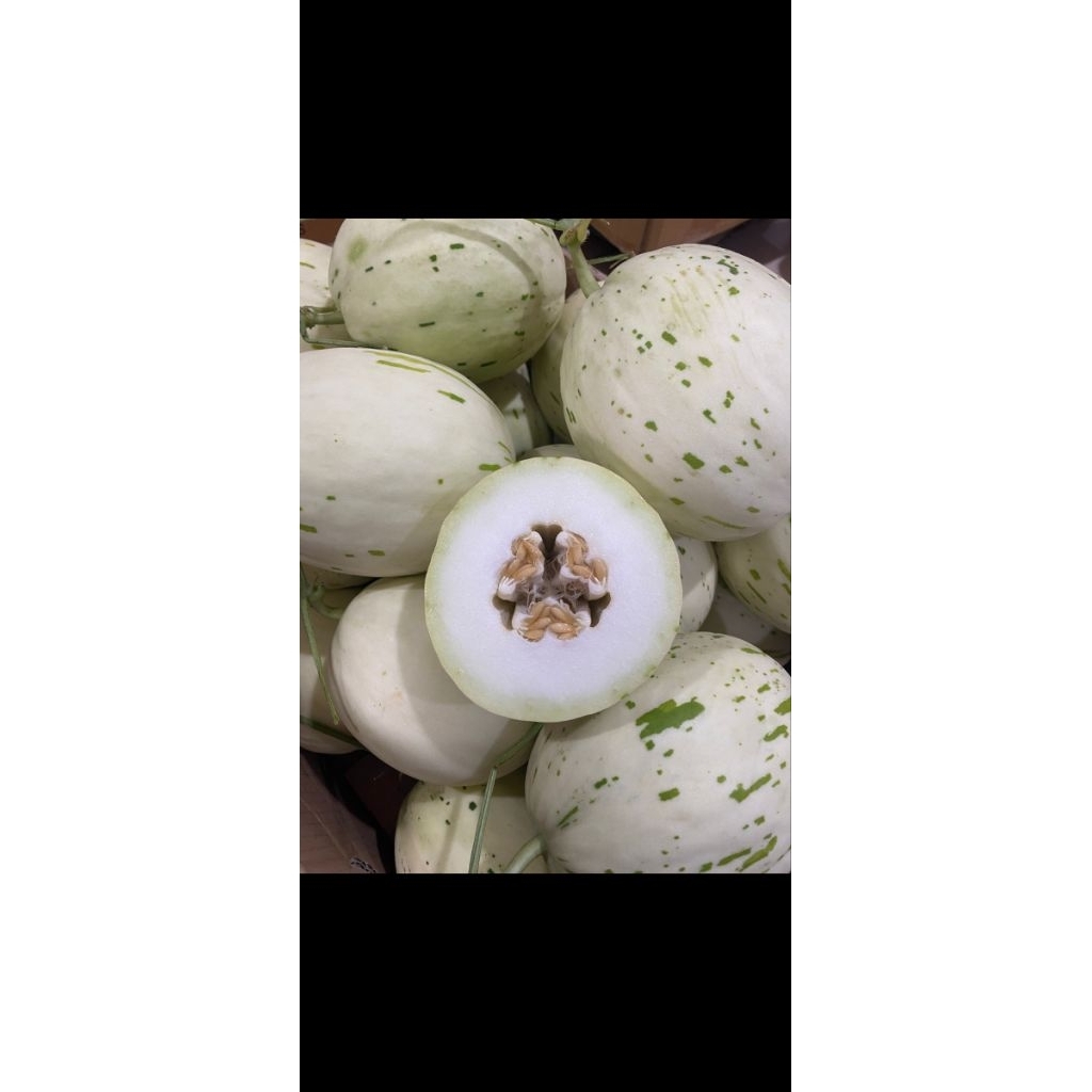 

melon dalmantion melon manis garing. melon fresh.