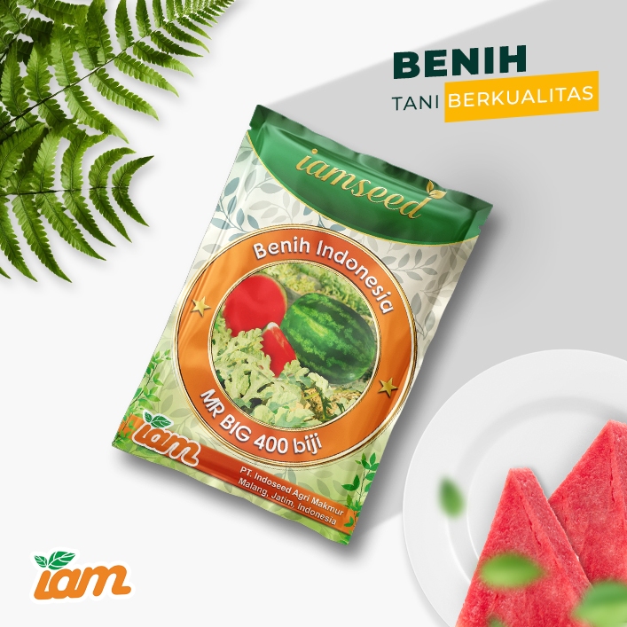 

Mr big 400biji | Semangka tanpa biji