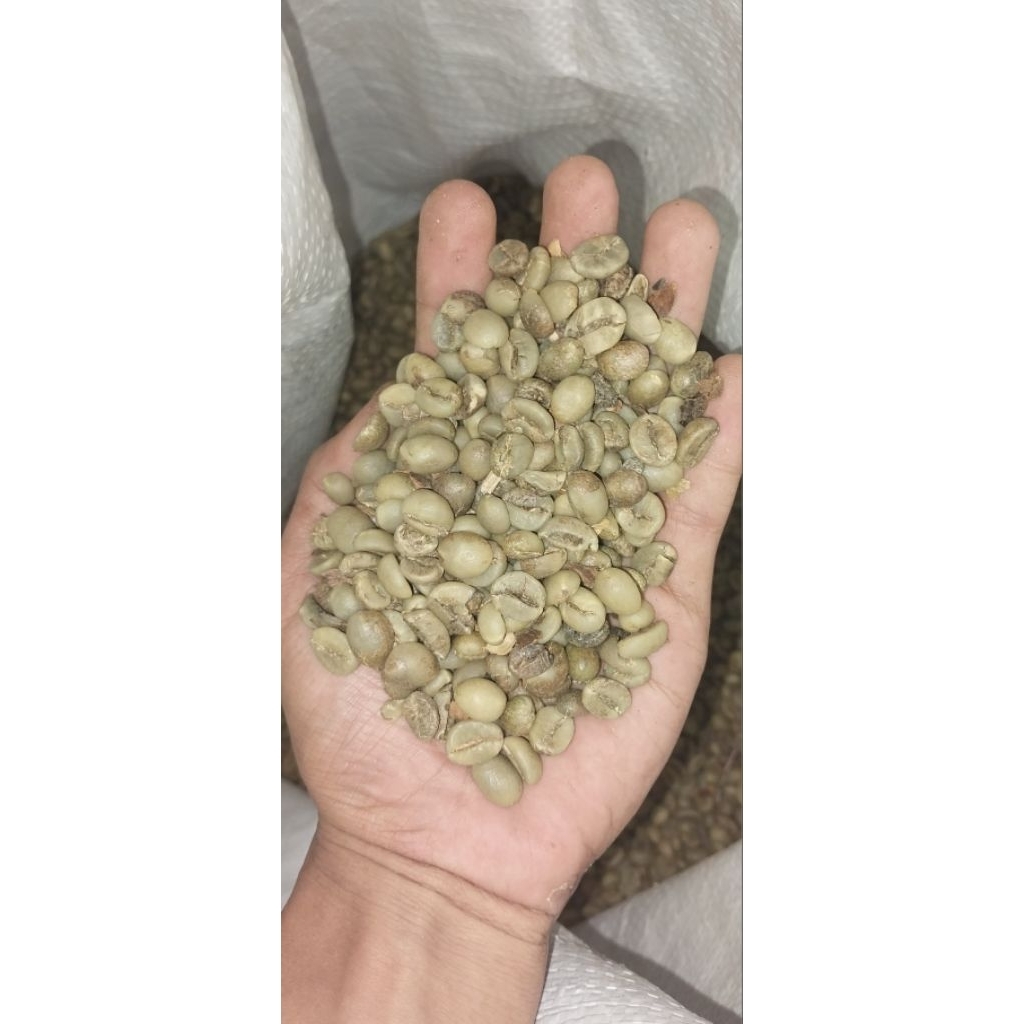 Robusta Grade 3 atau Asalan