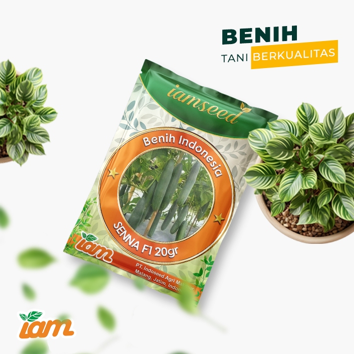 

Senna F1 20gr | Mentimun